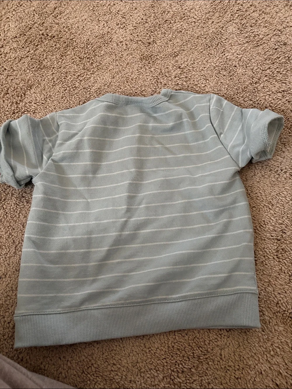 Calvin Klein Boys Sage Green Striped Short Set